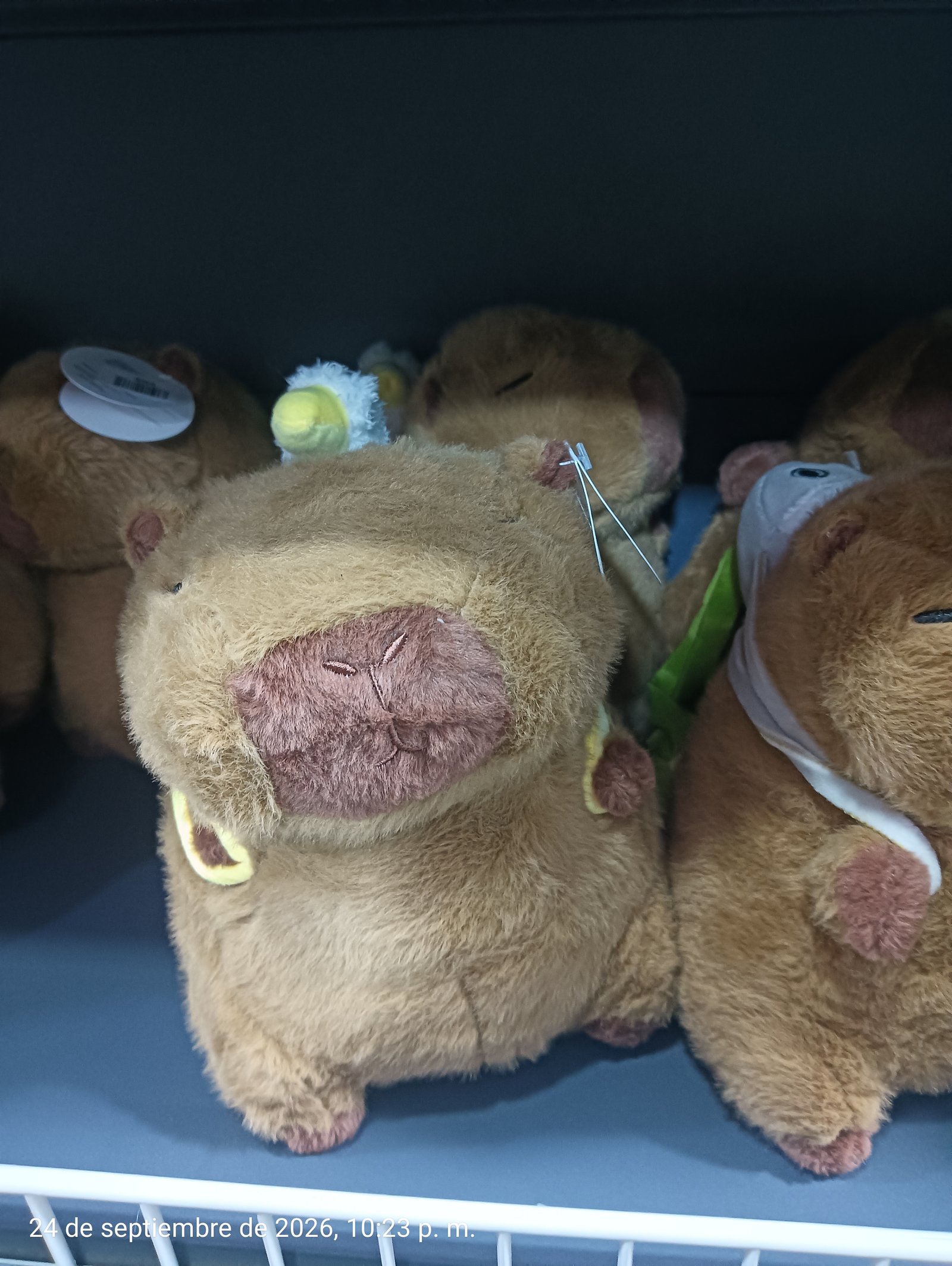 PELUCHE 3B CAPIBARA